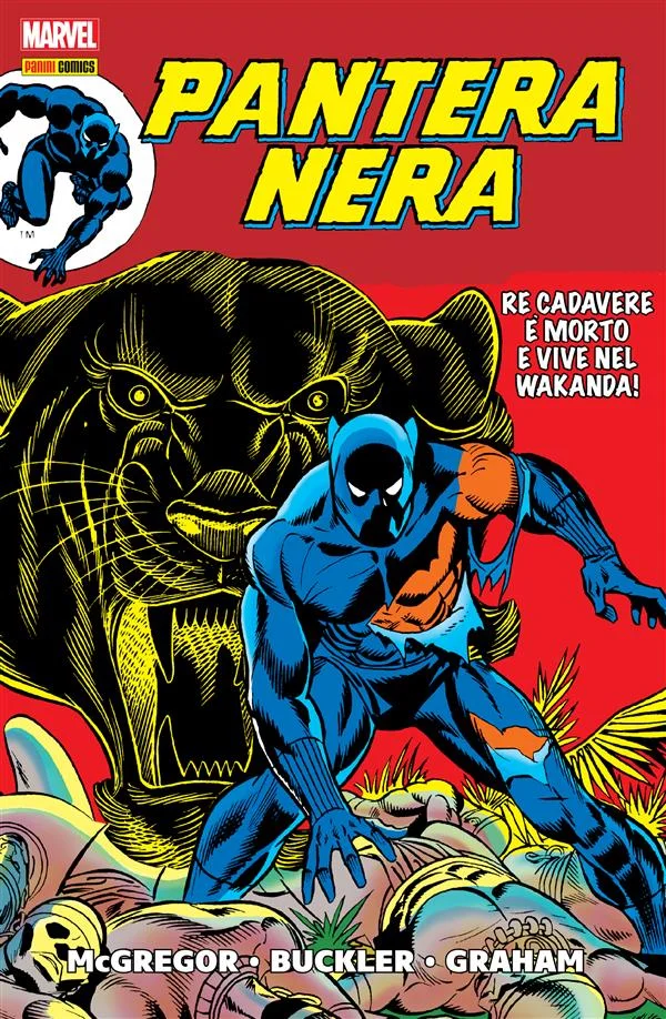 Copertina di Pantera Nera - La rabbia della Pantera Nera — Volume 1