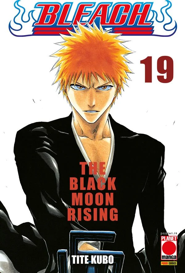 Bleach 19 copertina