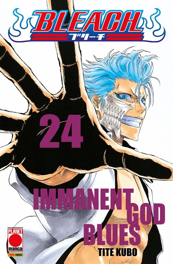 Bleach 24 copertina