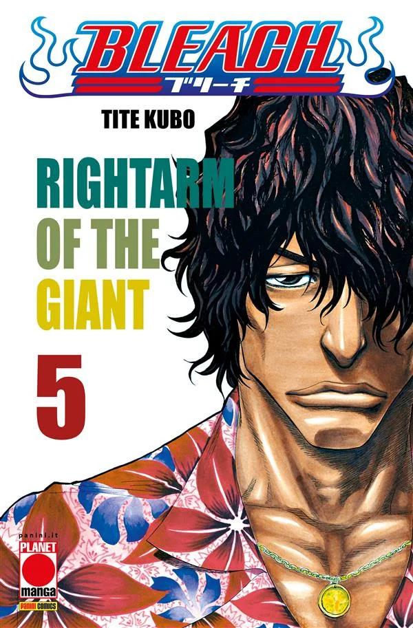 Bleach 5 copertina