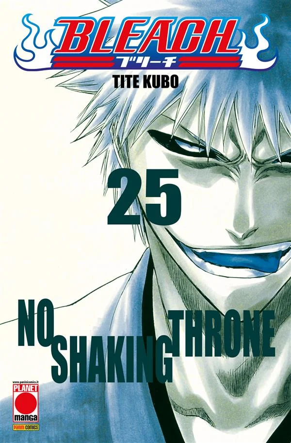 Bleach 25 copertina