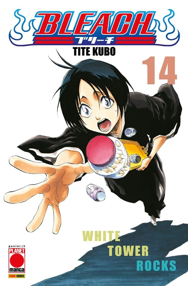 Bleach 14 copertina