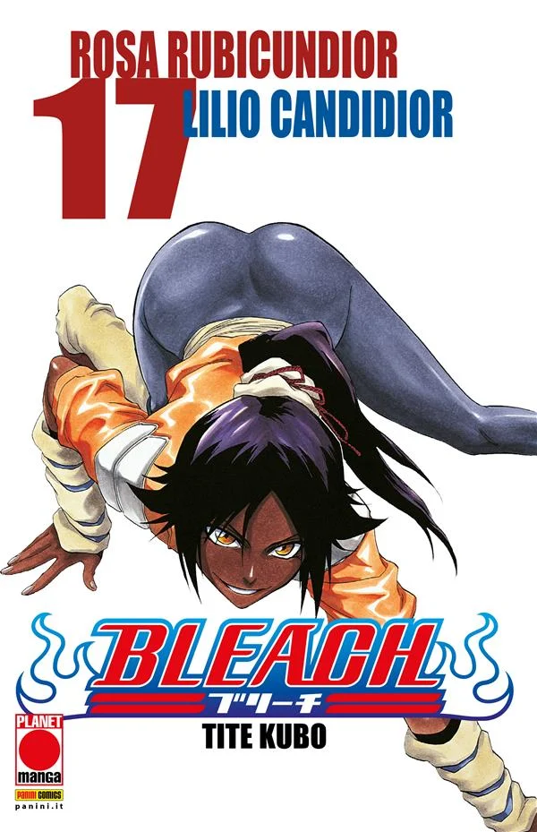 Bleach 17 copertina