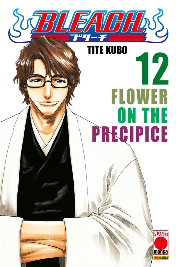 Bleach 12 copertina