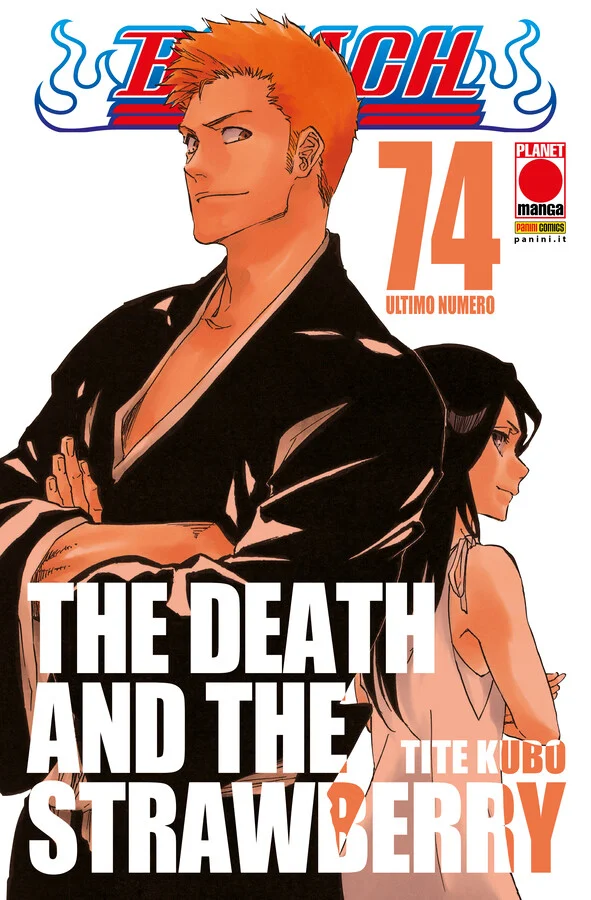 Bleach 74 copertina