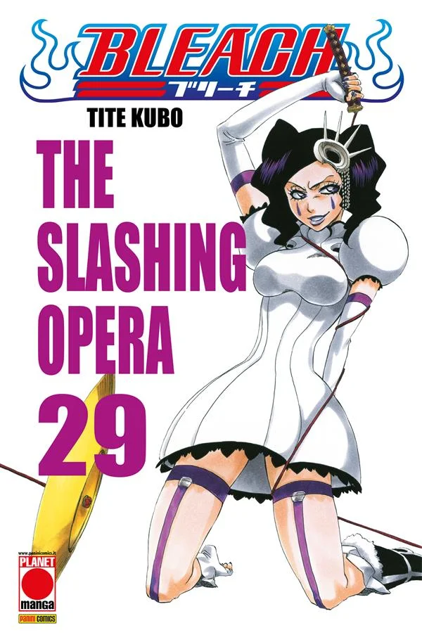 Bleach 29 copertina